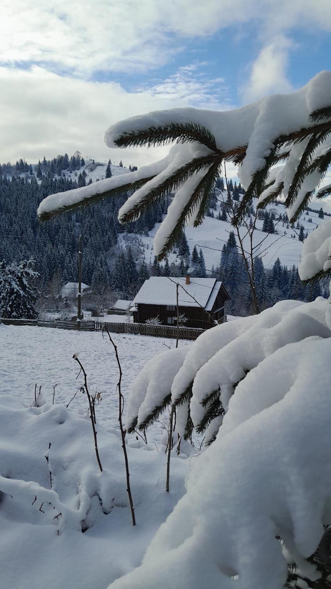 Villa Filiak Yablunytsia Dış mekan fotoğraf