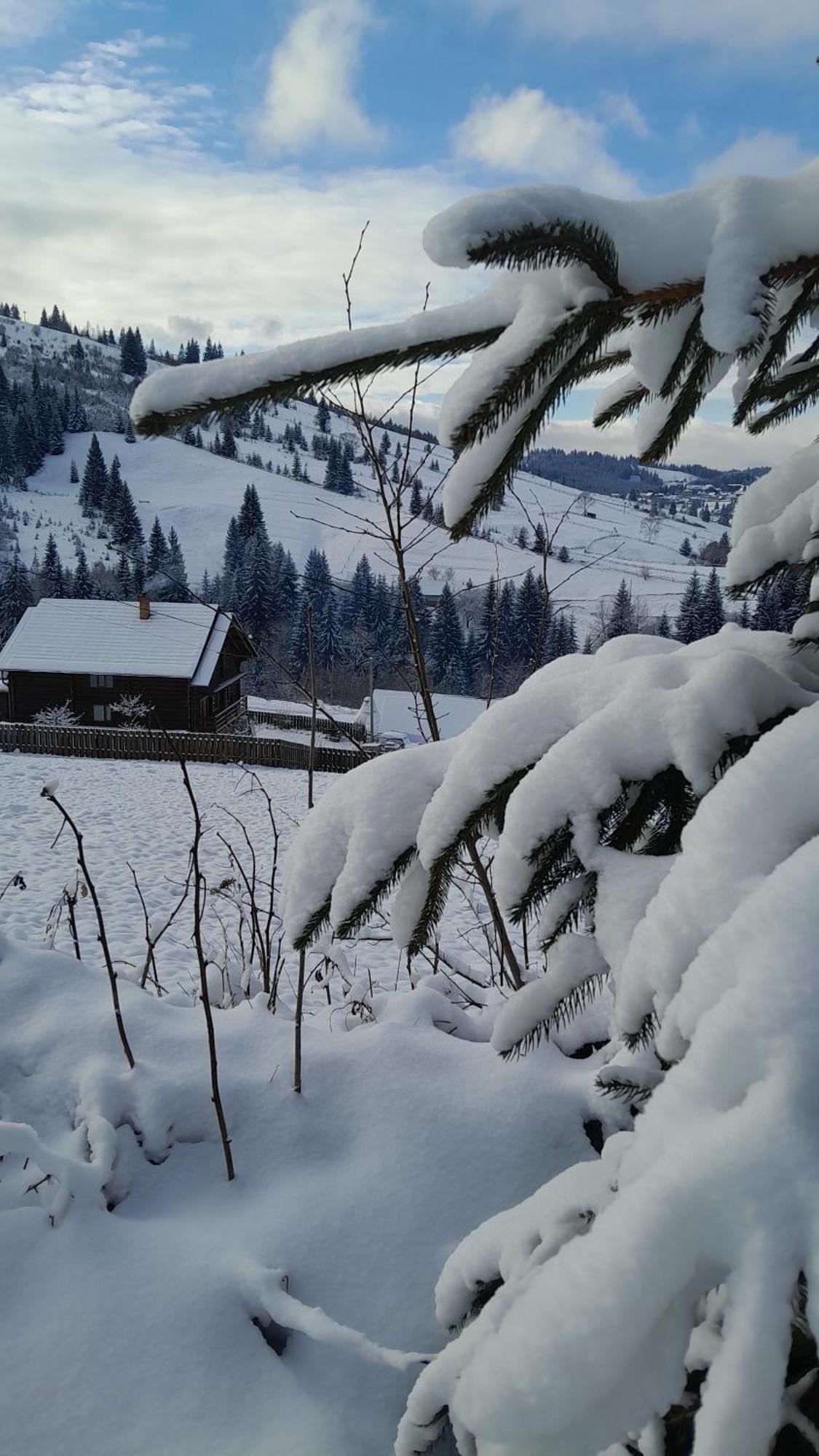 Villa Filiak Yablunytsia Dış mekan fotoğraf